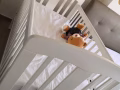 Baby床