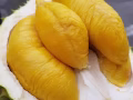马来西亚榴莲国内现货包邮