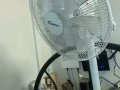 9層新落地電風扇一個