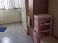 淡滨尼大牌872招租 男搭房