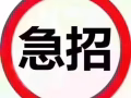 急招4號司機  高薪 包吃包住