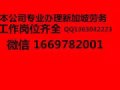 新加坡正規中介 工作崗位齊全 微信 1669782001
