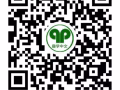 專業教師教授中小學及成人華文課程