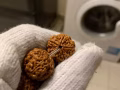 出售金刚菩提手串