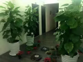 東部勿洛中心spa招聘按摩師