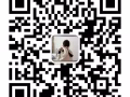 本地中介公司：急招送货司机，薪资待遇高！详情微信咨询:Angel81685016