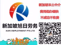 新加坡文員工作合集（一手中介）+V