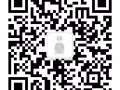 承接中国道新加坡，马来西亚（集运.拼团）特价优惠.专业专效.靠谱代运！