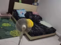 文礼普通房出租