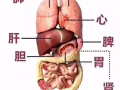 我是一名男的推拿按摩理疗师