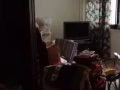 裕廊西男床位招租