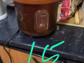 本我马上回国了白菜价格处理一批家电