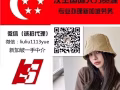 新加坡优质高薪单，进来看看，出签快费用低liuliu1113yue微信