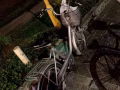 出售两台自行车 三巴旺自取