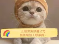 新加坡一手單種類齊全，+微信hy183577147