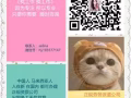 WP普工或面包师,综合2500，微信hy183577147