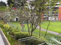 花拉公園 Cityscape 公寓普通房出租 可住兩人無中介費 帶保潔服務 可煮