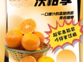 🍊 比橘肉更細膩，比橙子更清甜🍊