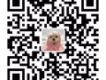 ACK-印刷公司聘普工 