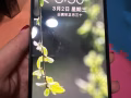 9成新苹果12 64GB便宜售卖