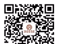 留學私人管家服務第一品牌-新加坡睿思教育 Reese Education
