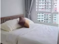 榜鵝 618D Punggol 精美、便宜、超值 房屋出租