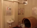中药汗蒸