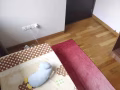 马里士他科廷培根大学附近，全屋女生！普通房出租，无中介可报地址