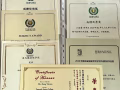 NUS做题家招生AEIS/PSLE/Olevel/Alevel！带你逆袭带你飞！