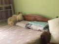 洗衣机