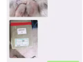 冷冻食品/冷冻生鲜运输到新加坡原来这么简单