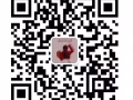 本公司专业团队助力