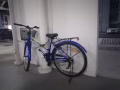 朋友回國出售自用自行車🚲