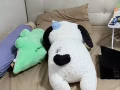 普通房出租可報地址