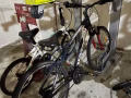 男女士自行車