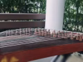 古箏網課培訓招生