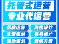 网络平台代运营服务
