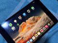 iPad mini4
