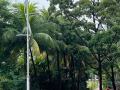 sembawang MRT 普通房搭房/ 客廳一人