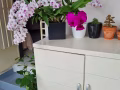找爰干净整洁的女生搭房