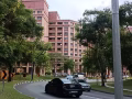 淡濱尼招男女搭房可以服務業地址
