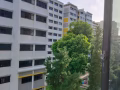 港湾男搭房本屋地址