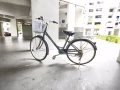 女士永久牌自行車，