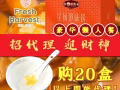 超值的新年高級懶人餐來啦！過年解放雙手，輕鬆優雅過大年！