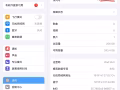 iPad2021 第九代，白色，256GB，帶蜂窩網絡🛜