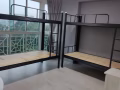 后港/万国公寓主人房和普通房招女搭房