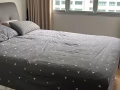 淡滨尼普通房出租