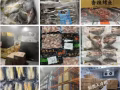 中國寄→新加坡馬來西亞空運/海運冷鏈到新加坡，生鮮集運，可接範圍：魚類，海鮮 魚丸  蝦餃 各種水產品。