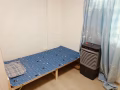 近麦波申黄线C/蓝线D口独立搭房