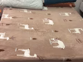 三巴旺普通房